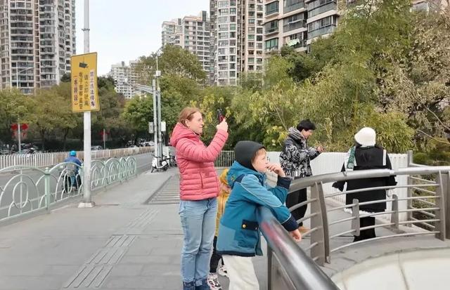 赛地聚焦：欧篮联集结日热度飙升，莱比锡远射贴柱，管理层满意，纪律约束更严格的简单介绍